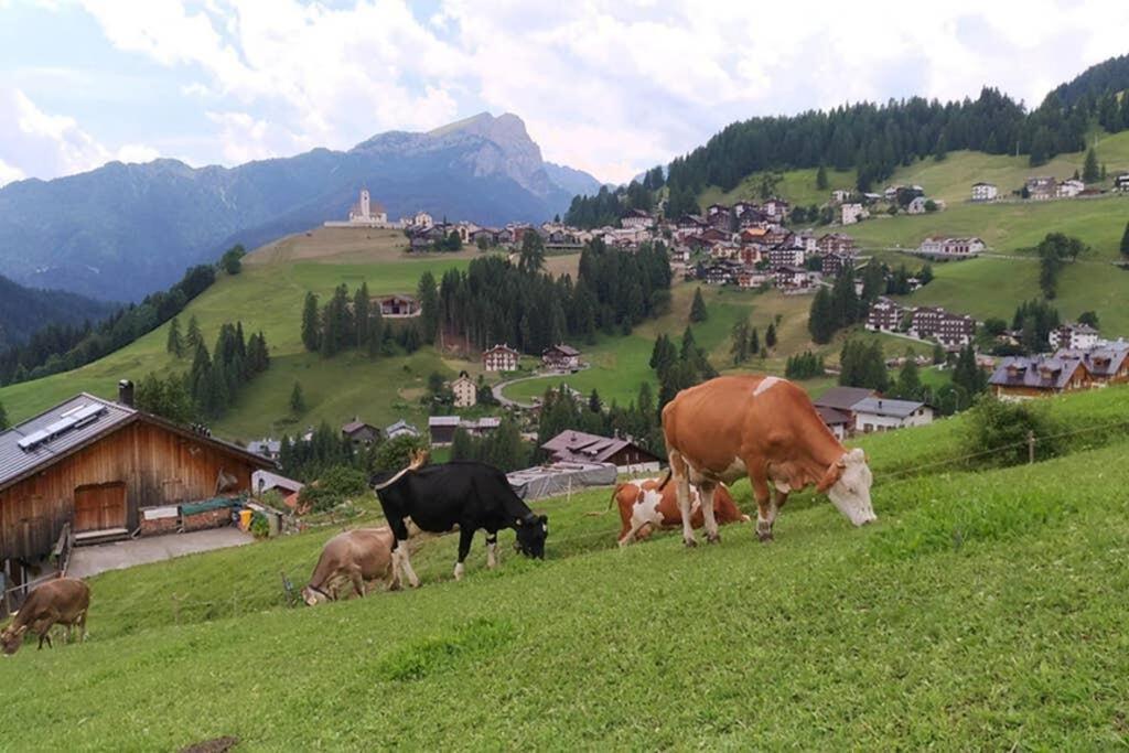 App Col Di Lana - Agriturismo La Majon Da Col Colle Santa Lucia Exteriér fotografie